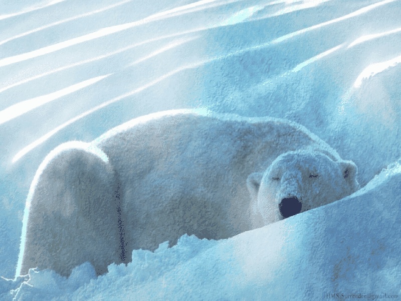 泰国曼谷单身试管，杭州试管宝妈